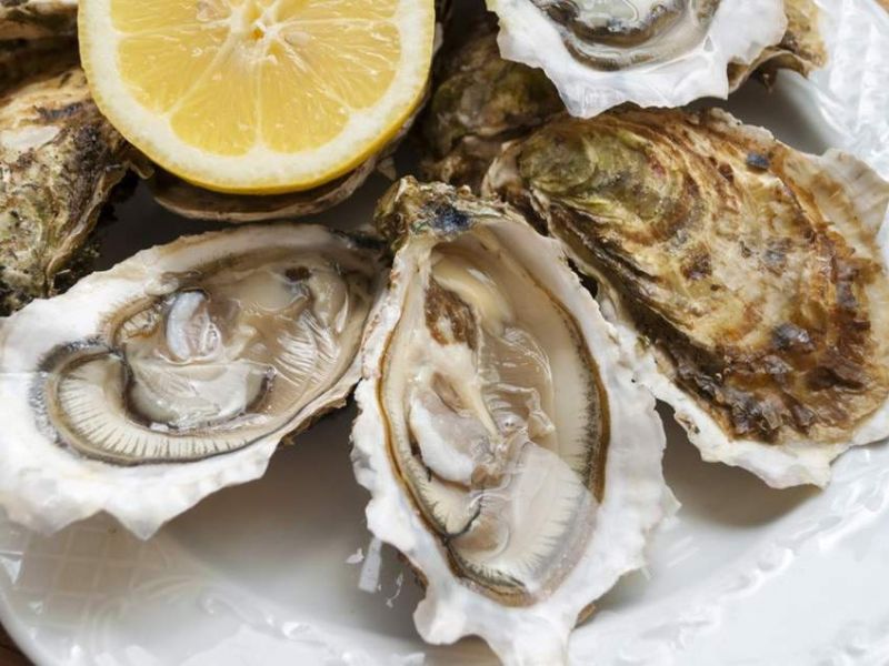 Oyster Roast "For the Birds"